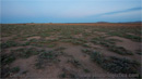 Estepes