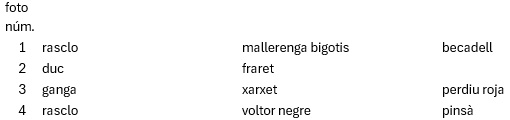 Extra 1