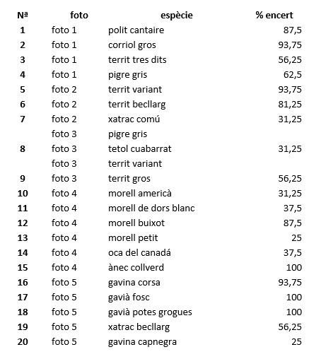 Solucions Extra 2