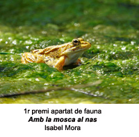 1r premi de l'apartat de fauna 2019