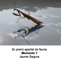 2n premi de l'apartat de fauna 2019