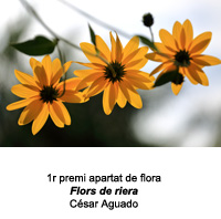 1r premi de l'apartat de flora 2019