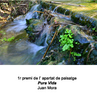 1r premi de l'apartat de paisatge 2019