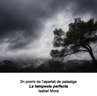 2n premi de l'apartat de paisatge 2019