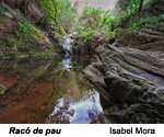 Finalista de l'apartat de paisatge 2019