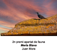 2n premi de l'apartat de fauna 2021