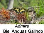 Finalista de l'apartat de fauna 2021