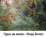 Finalista de l'apartat de flora 2021