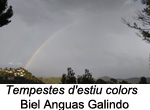 Finalista de l'apartat de paisatge 2021