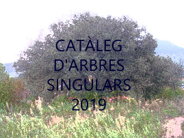 Nou cat�leg border=