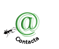 Contacta