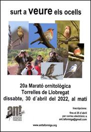 Cartell 20 marat ornitolgica 2022