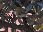 Dscn2058_(2)