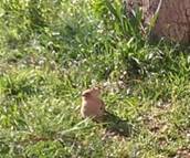 Img_20180306_102004