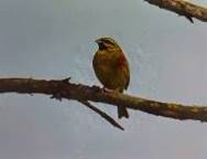 Img_20200524_154745