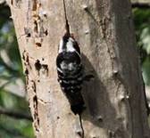 Img_1716_(2)