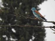 Dscn2961