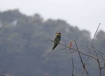 Dscn5581