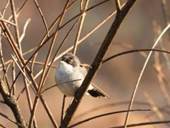 Descripci�: https://minka-sdg.org/attachments/local_photos/files/207542/large.jpeg