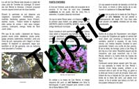 Tr�ptic de la Ruta de Can Reinal